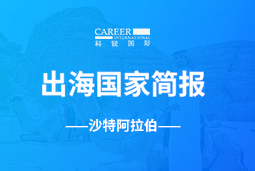 G22恒峰集团GO GLOBAL | 沙特阿拉伯国家简报